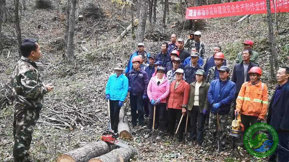 丰丽林场最新新闻动态报道速递